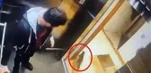 AK Parti Sözcüsü Çelik'ten 