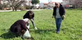 Balıkesir'de Ot Festivali İstendi