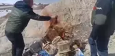 Van'da kafes avcılığı yapanlara idari para cezası