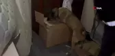 Başkent'te çok sayıda uyuşturucu ele geçirildi