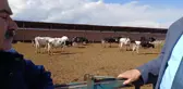 Hayvancılıkta yaşanan sorunlar gündeme geldi