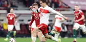 A Milli Takımımız Macaristan'a 1-0 yenildi
