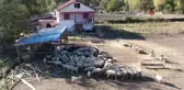 Şehir hayatını bırakıp köye yerleşti: Devlet desteği ile gelirini üç katına çıkardı