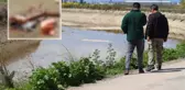 Sulama kanalında kesilmiş at ve eşek eti kalıntısı bulundu