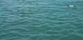 Deniz Suyu Sıcaklıklarının Artması Hortumları ve Meteorolojik Olayları Artırıyor