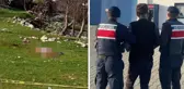 Yaşlı kadının ölümüne sebep olan çoban köpeklerinin sahibi tutuklandı