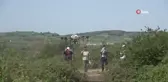 Bafra Ovası'nda dron destekli sivrisinek mücadelesi