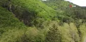 Kazdağları bahar ile birlikte yeşilin binbir tonuna büründü
