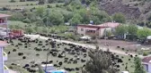 Artvin'de hayvancılık yapan çiftçiler zorluklarla mücadele ediyor