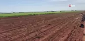 Kilis'te biber fideleri çocukların elleriyle toprakla buluştu