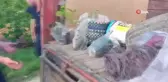Sinop'ta inşaat malzemesi hırsızlarına suçüstü