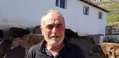 Artvin'de hayvancılık zor günler yaşıyor