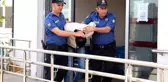 Adana'da Alkollü Sürücü Kazaya Neden Oldu, Motosiklet Sürücüsü Hayatını Kaybetti