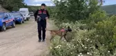Kayıp ekonomist Korhan Berzeg'in kafatasına ait olduğu değerlendirilen parça bulundu