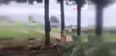 Ağaçlara yıldırım düştü, fırtına hayatı olumsuz etkiledi