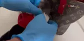 Uyuşturucu tacirleri Mickey Mouse karakterini zula olarak kullandı