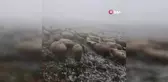 Tokat'ta mayıs karı yaylayı beyaza bürüdü