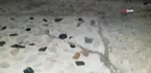 Bakkaldaki hırsızlık şüphelisi kedi çıktı