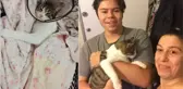 Komşusunun kedisini 4. kattan atan acımasız kadının hapsi isteniyor