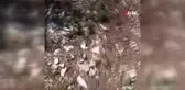 1500 liraya çalıştıracak günü birlik işçi bulamıyor