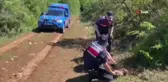Yaralı şahinin yardımına jandarmalar yetişti
