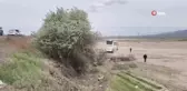 Yoldan çıkan yolcu otobüsü tarlaya girdi: 4 yaralı