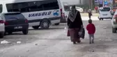 Yüksekova'da Polenlerin Olumsuz Etkisi