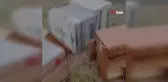 Ayılar bir gecede çok sayıda arı kovanını kırdı, binlerce arı telef oldu