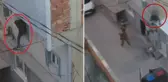 Zehir taciri kaçtı, helikopter kovaladı! 13 ilde şafak operasyonuyla yakalandılar