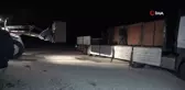 Salda Gölü çevresine 7 kızıl geyik daha bırakıldı