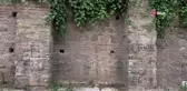 Tarihi Manastırın Duvarları Sprey Boyalarla Kirletiliyor
