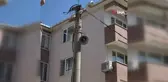 Elektrik direğinin tepesinde ağaç filizlendi