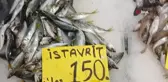 Kurban Bayramı öncesinde balık fiyatları yükseldi