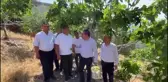 CHP Milletvekili Evrim Karakoz İncir Bahçesinde İlekleme Yaptı