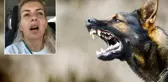 Ankara'nın uykularını kaçıran skandal! Ne kadar kuduz köpek varsa şehre salıp kaçtılar