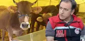 Kesilen hayvanlarda uygunsuz durumlar nelerdir? Tarım ve Orman İl Müdürü Karaca yanıtladı