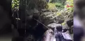 Rize'de balık tutarken ayıyla karşılaşan arkadaşların panik anları
