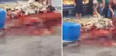 Tepki çeken görüntü! Koyunları sokak ortasında kestikleri yetmezmiş gibi bir de kanlarını yola akıttılar