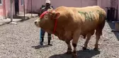 Kars'ta 1 ton 150 kiloluk 