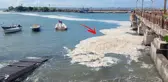 Karadeniz müsilaj istilasında! Mavi bayraklı plajda tatilcileri yıkan manzara