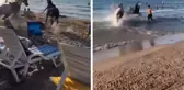 Sahibinin elinden kaçan atlar plajdaki insanların arasına daldı