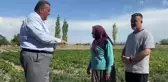 Sebze Üreticilerinin Sorunları Gündeme Geldi