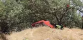 Otomobil yoldan çıkıp ağaca çarptı: 3 yaralı