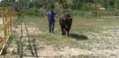 Mahalle mahalle gezip tırnak bakımı yapıyor