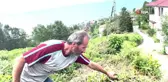 Çay Üreticileri Telgraf Otu Sorunuyla Mücadele Ediyor