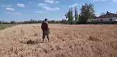 Yozgat'ta Sel ve Dolu Mağduru Çiftçiler: 