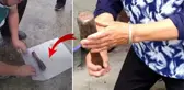 20 yıl boyunca çekiç olarak kullandığı alet Vietnam Savaşı'ndan kalma bir el bombası çıktı