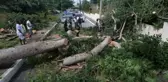 Beryl Kasırgası Karayip Ülkelerinde Can Kaybına Yol Açtı