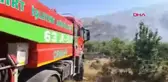Siirt'te Örtü Yangını Çıktı