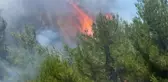 Balıkesir'deki Yangın Kontrol Altına Alındı